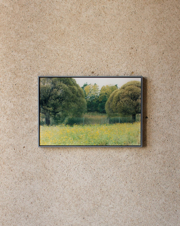 Longing for Grey #004 with Frame<br>Masahiro Sambe