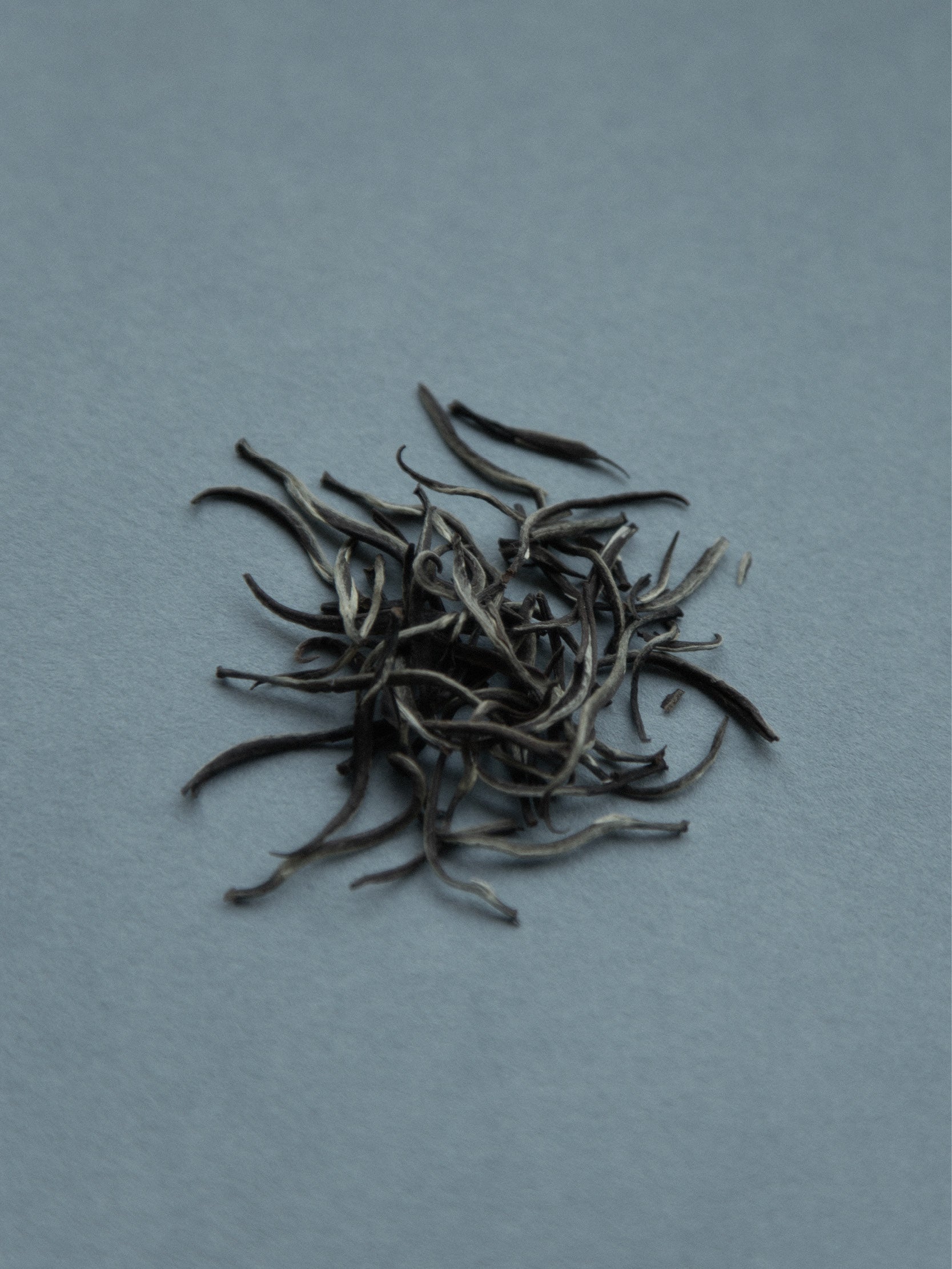 SRI LANKA KOTAPOLA WHITE TEA<br>LICHEN